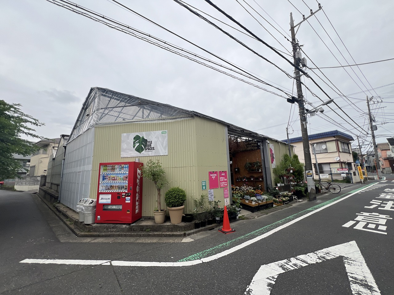 マイブーム♪の画像