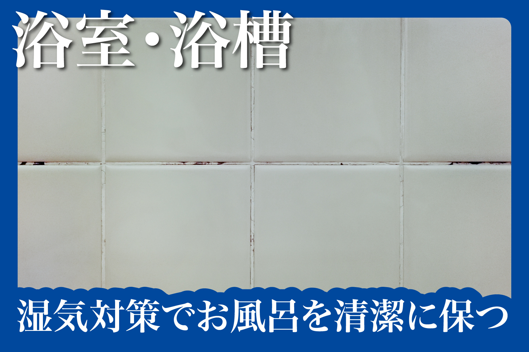 カビ知らず！湿気対策でお風呂を清潔に保つこつの画像