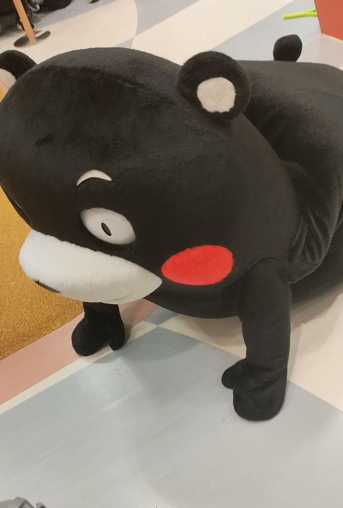 熊本市中央区の小学校選びに迷う方必見！校風の違いや特徴もまとめて紹介の画像