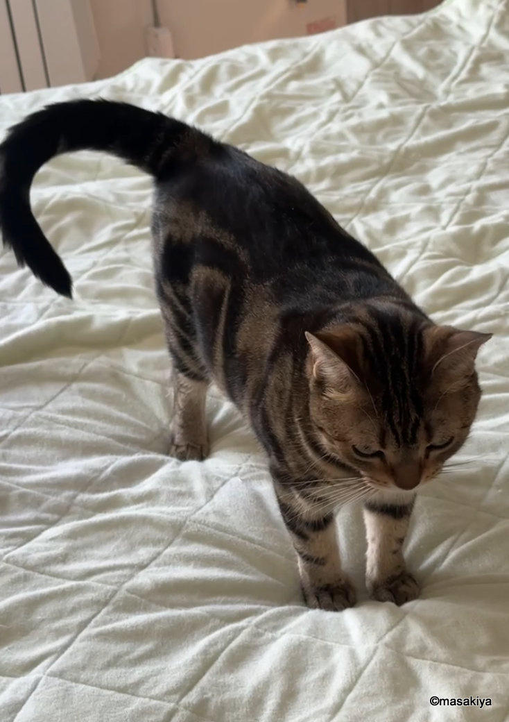 梅雨明けの画像