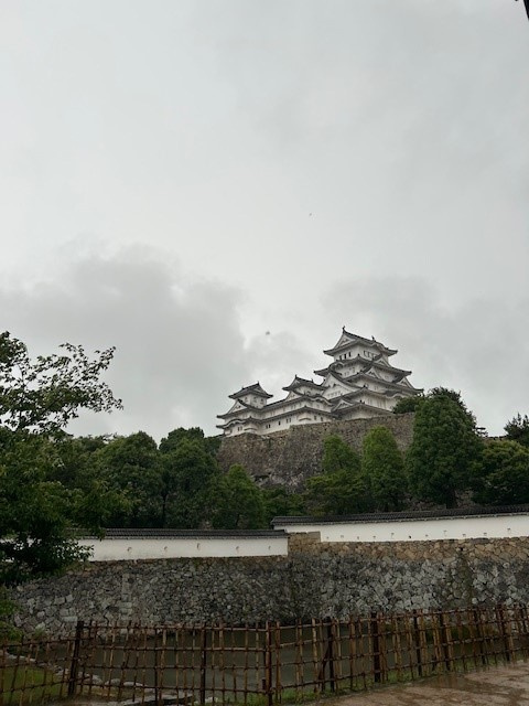 タビの画像