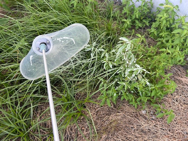 【あま市不動産売却】除草の画像