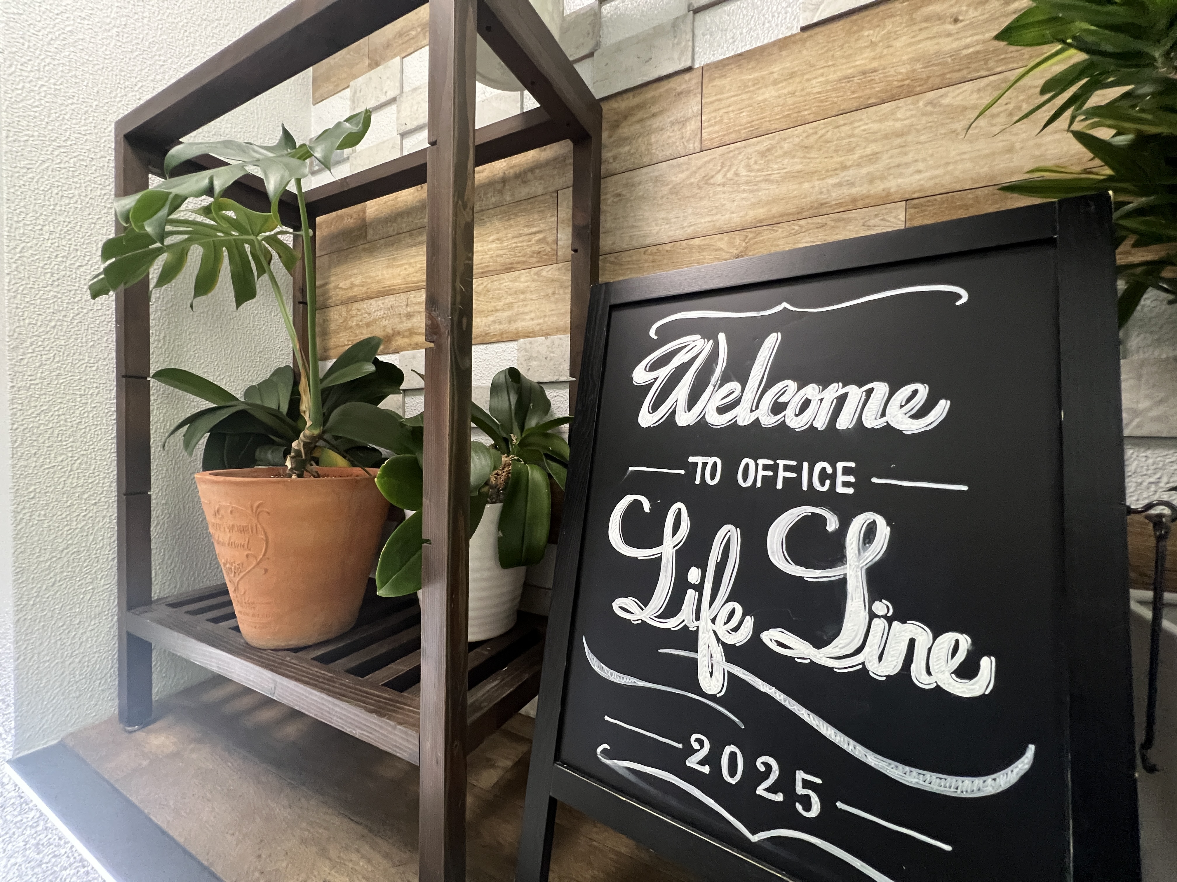 夢と感動をすべての人へ!ライフライン不動産会社情報です。の画像