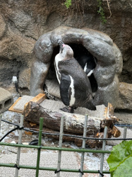雨の日の水族館の画像