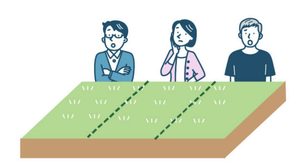 不動産の分け方とリスクの画像