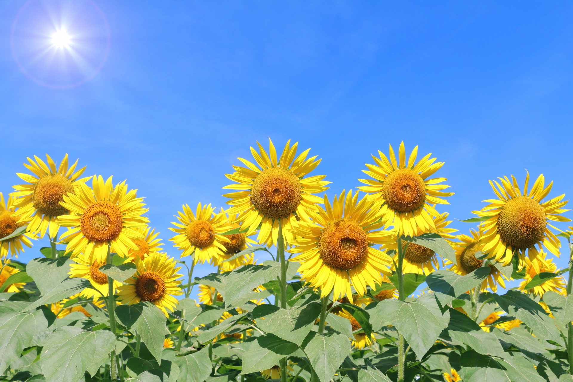 Vol.109  夏は閑散期？だからこそのメリットもある！の画像