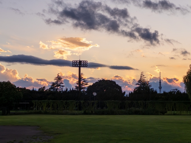 篠崎駅周辺エリアの風景