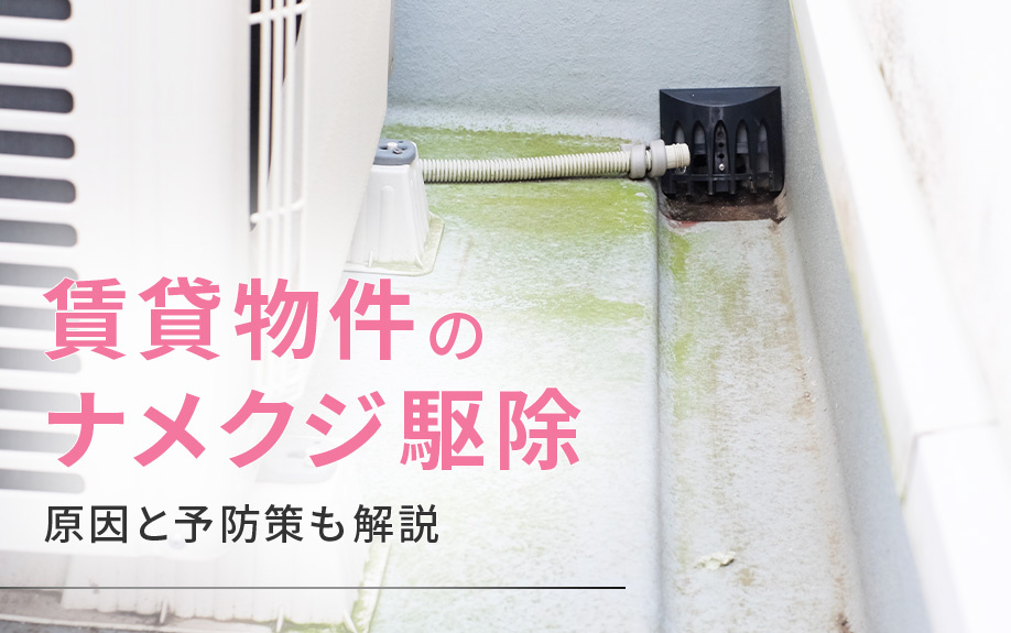 賃貸物件のナメクジ駆除！原因と予防策も解説の画像