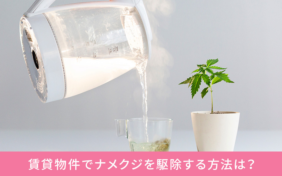 賃貸物件でナメクジを駆除する方法は？
