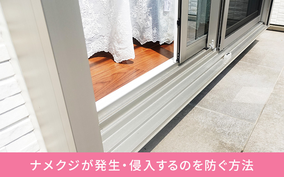 ナメクジが発生・侵入するのを防ぐ方法