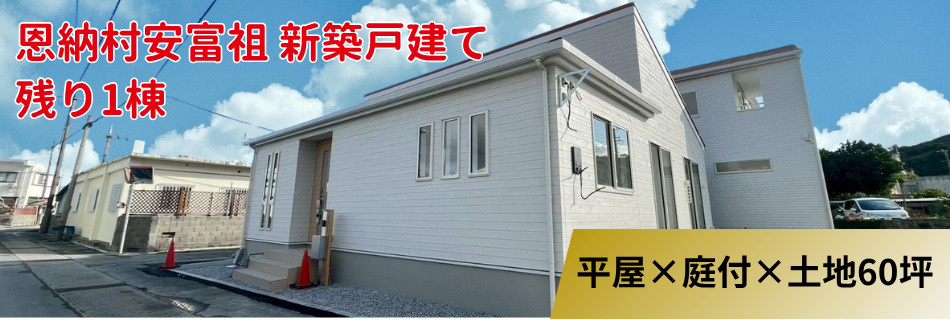 恩納村安富祖新築戸建て残り1棟