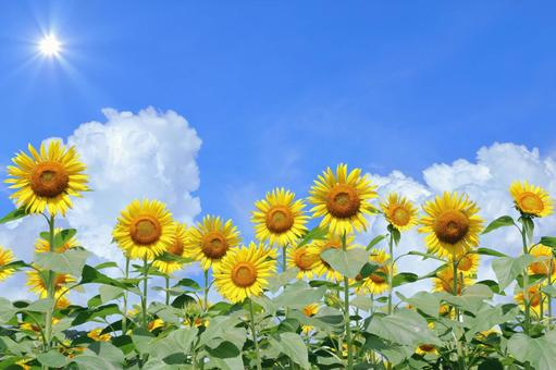 2025年8月　夏季休業のお知らせの画像