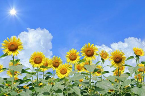 2025年8月　夏季休業のお知らせの画像