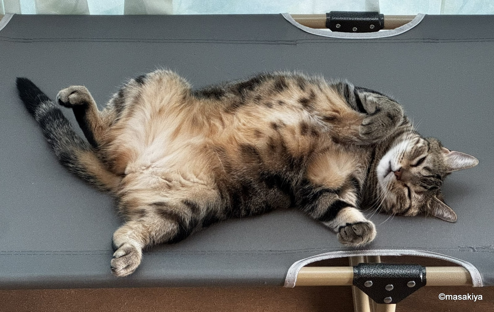 暑さ疲れの画像