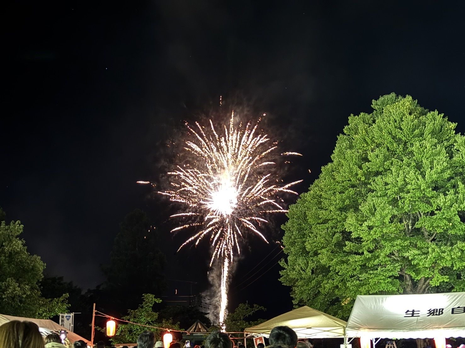 夏空に咲いた笑顔と花火～生郷まつり＠水分れ公園～の画像