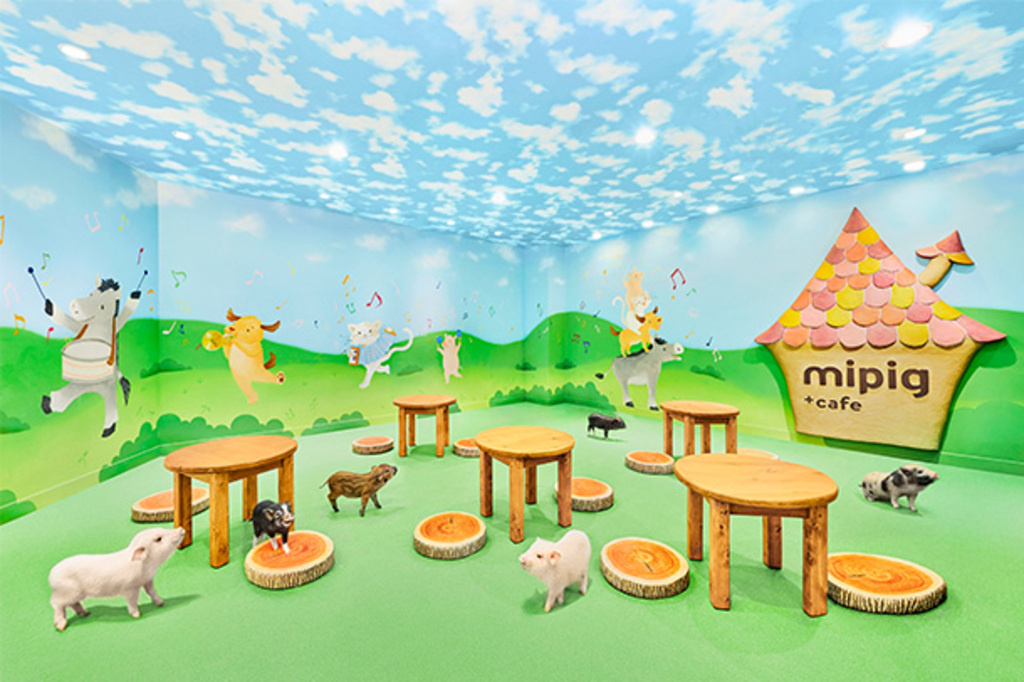 ７月２９日：mipig cafe 越谷レイクタウンの画像