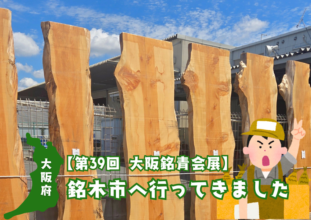 【第39回 大阪銘青会展】に行ってきました！の画像