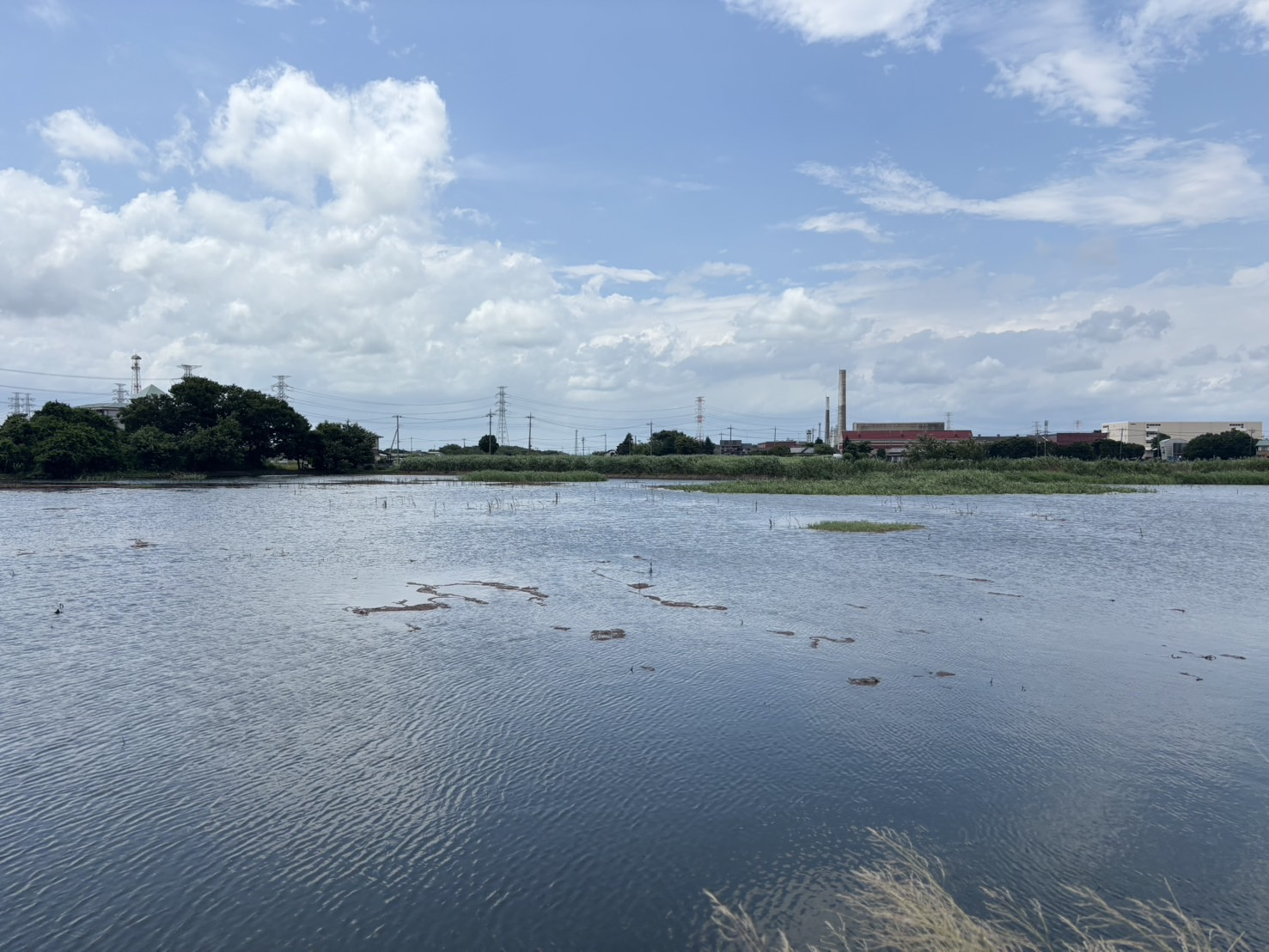 フィッシング！の画像