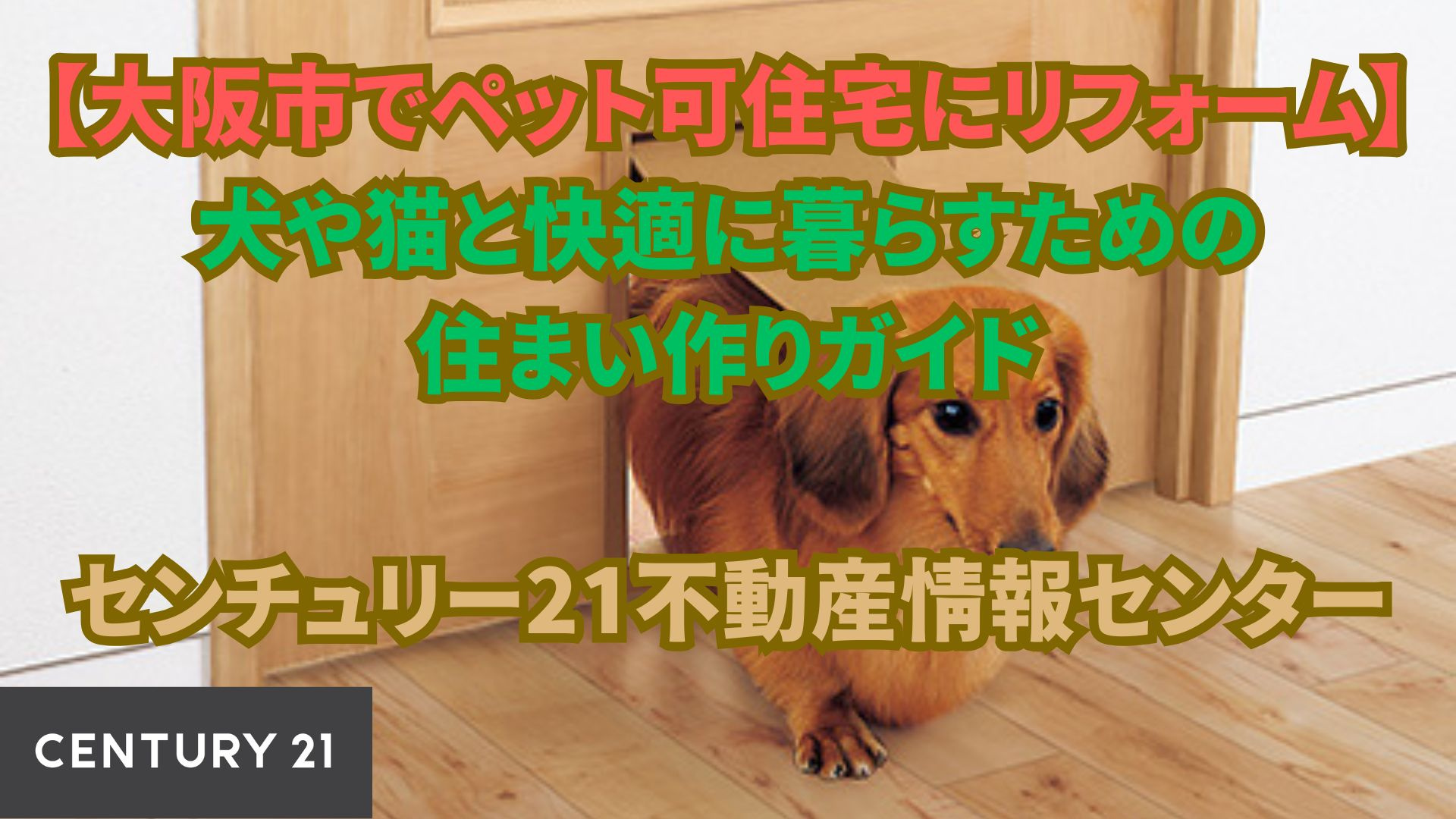 【大阪市でペット可住宅にリフォーム】犬や猫と快適に暮らすための住まい作りガイド｜センチュリー21不動産情報センター