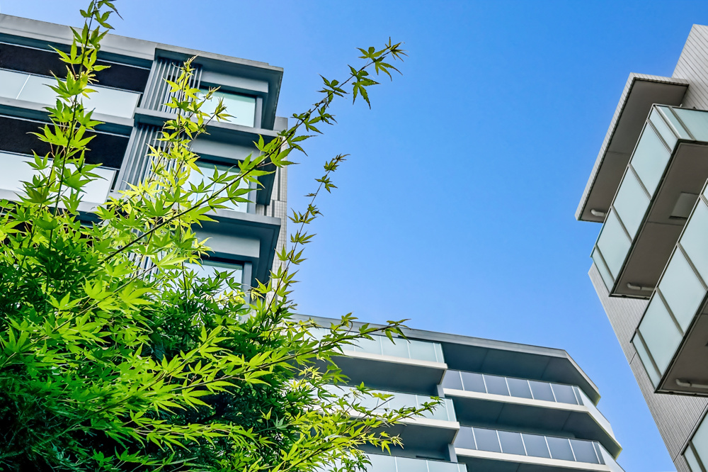 築浅マンションの売却はいつが良い？高く売るコツも紹介の画像