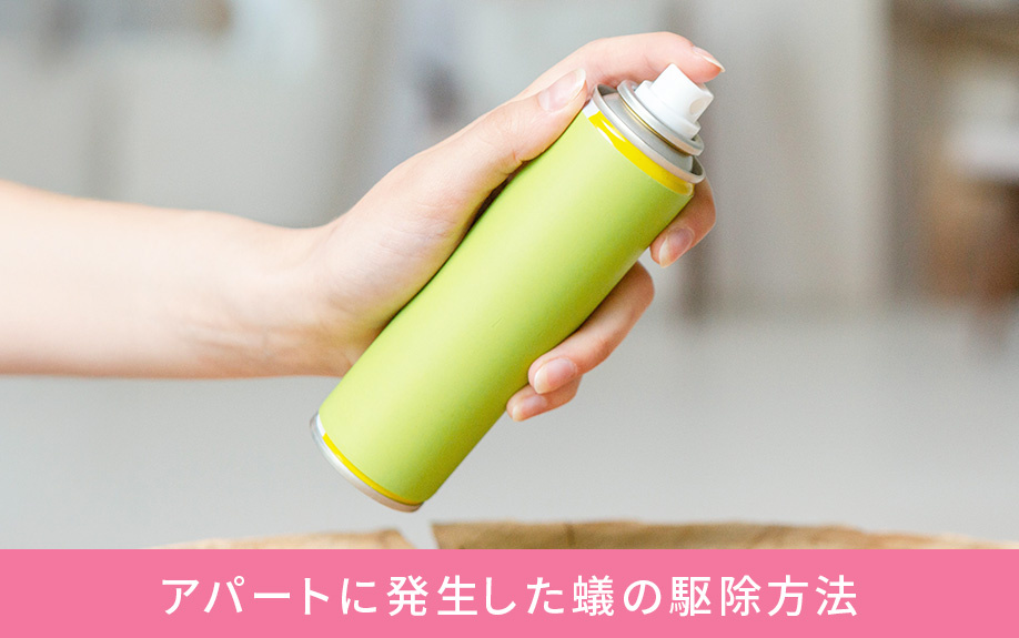 アパートに発生した蟻の駆除方法