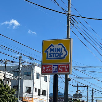 「ハロハロ」の時期がきました(^^)/の画像