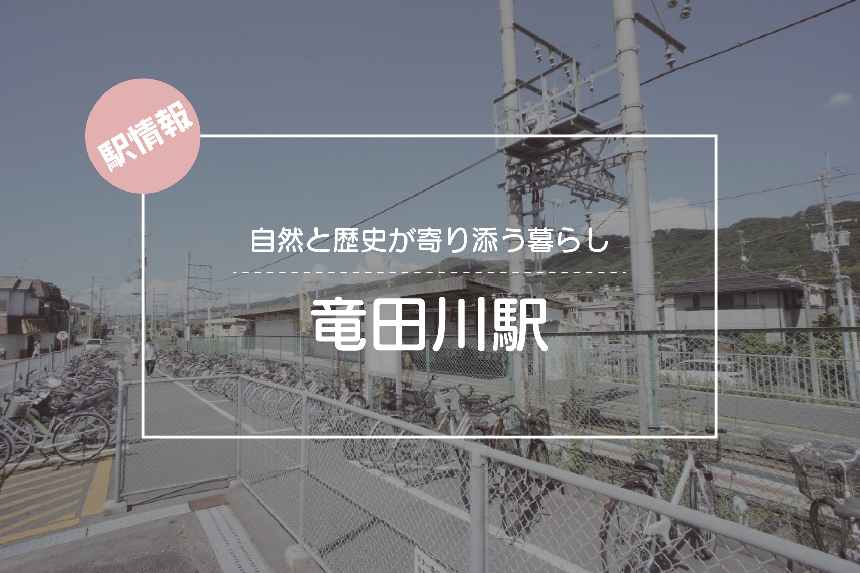 自然と歴史が寄り添う暮らし ― 竜田川駅周辺の魅力と住みやすさの画像