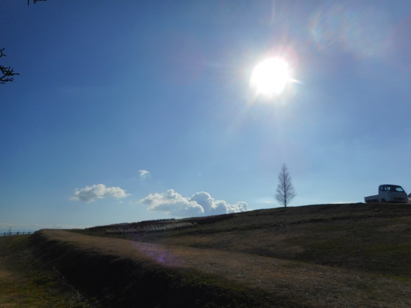 フォローウィンドコーポレーションの良さは何？特徴や魅力をわかりやすく紹介の画像