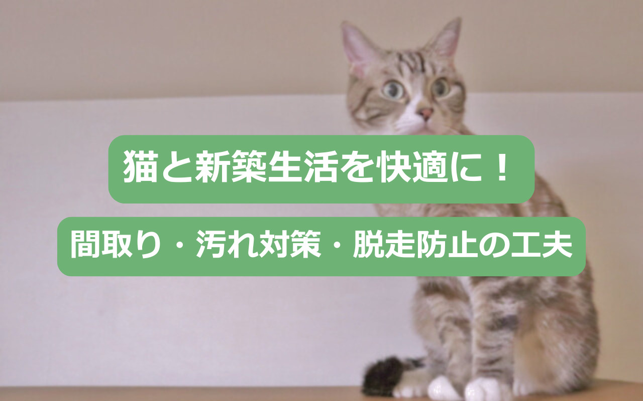 猫と新築生活を快適に！間取り・汚れ対策・脱走防止の工夫の画像