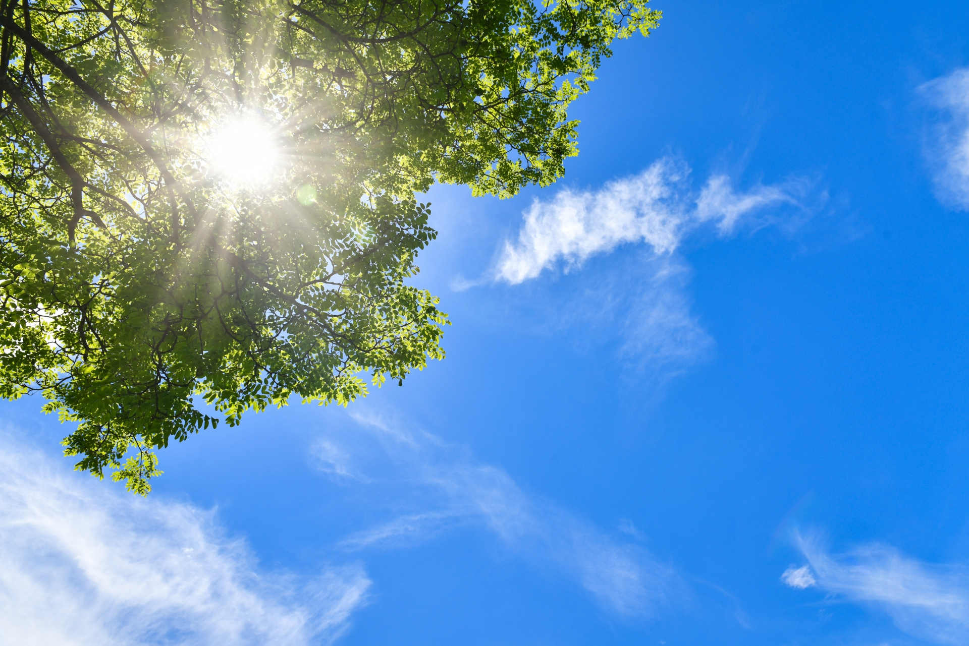 Vol.116  ZEH？ZEH水準？ナニソレ？の画像