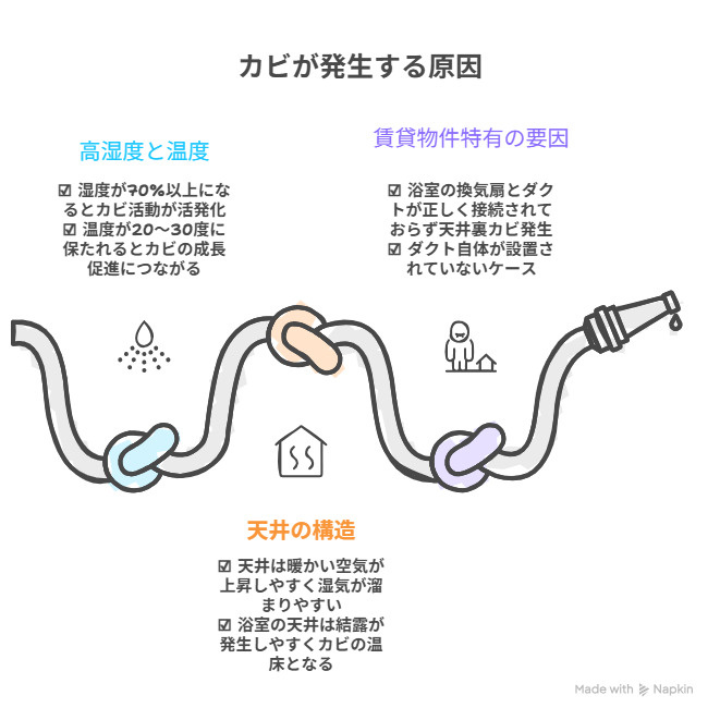 賃貸物件の浴室天井にカビが発生する原因とは