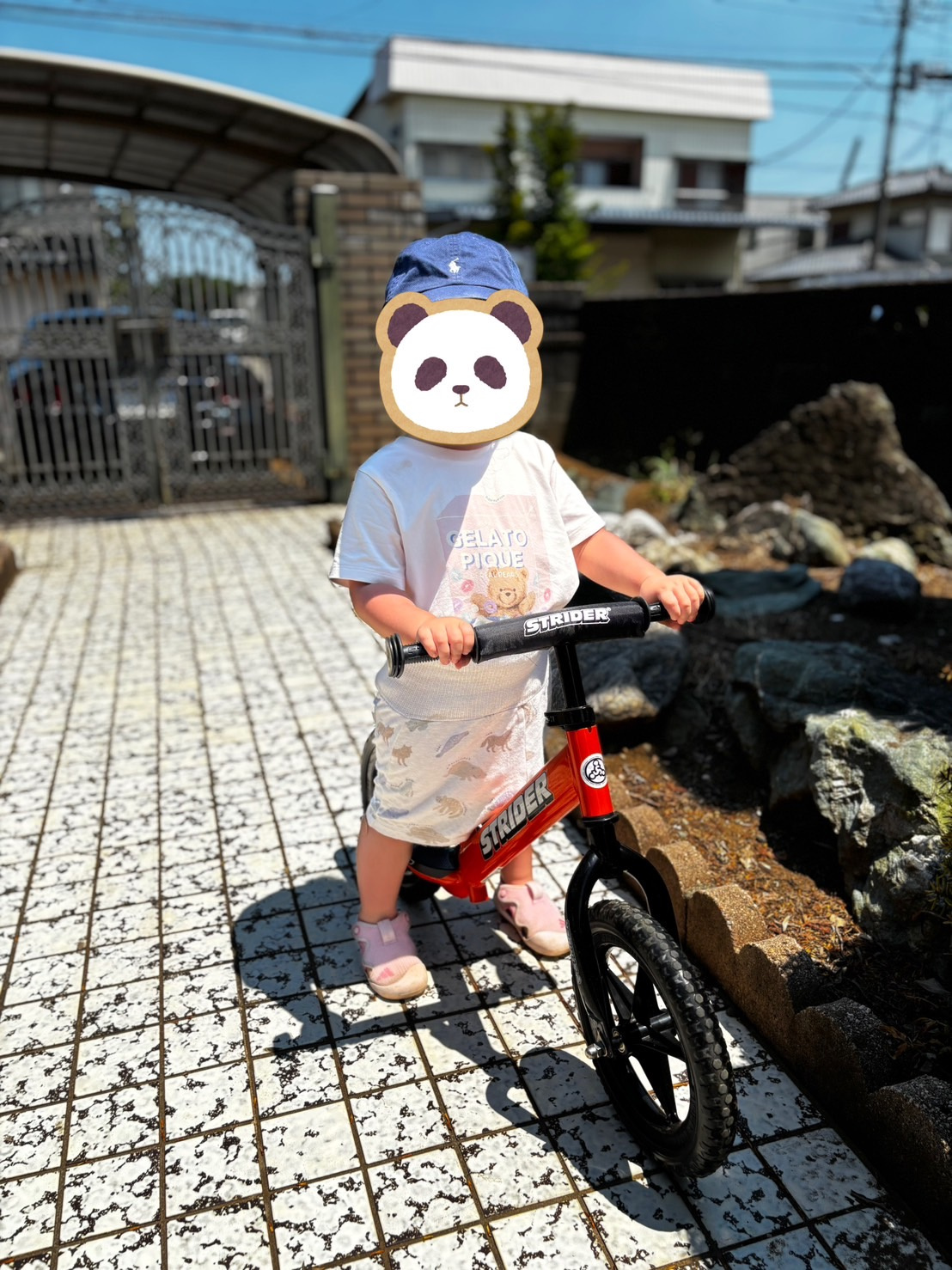 ストライダーデビュー!の画像