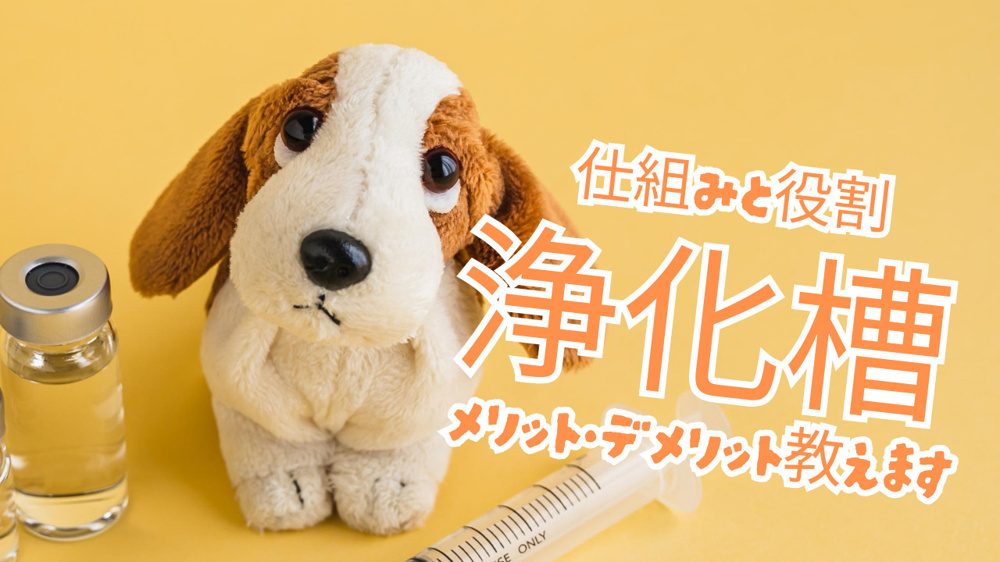 浄化槽のメリットやデメリットは？設置の際に知っておきたい注意点の画像