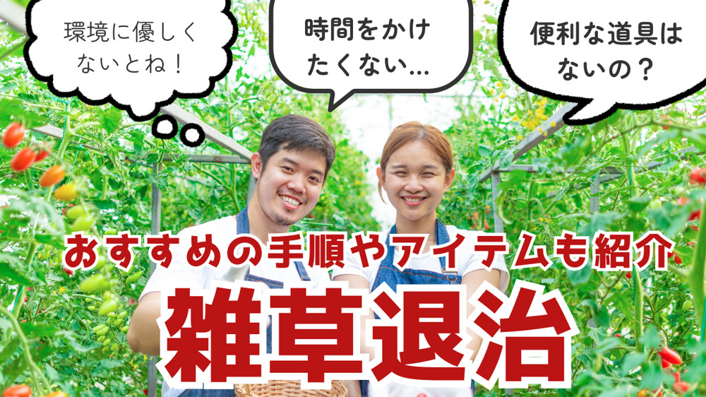 雑草退治を楽に行う方法はある？おすすめの手順やアイテムも紹介の画像