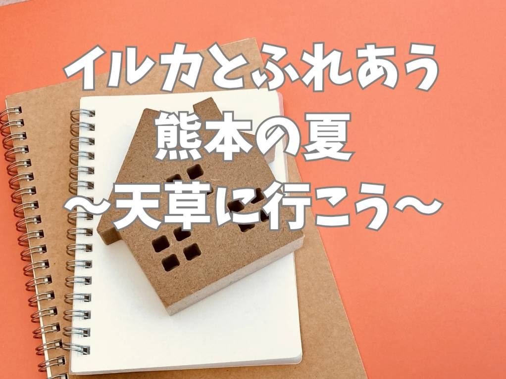 天草でイルカと過ごす夏休みはいかが？シードーナツやイルカウォッチングも楽しめますの画像