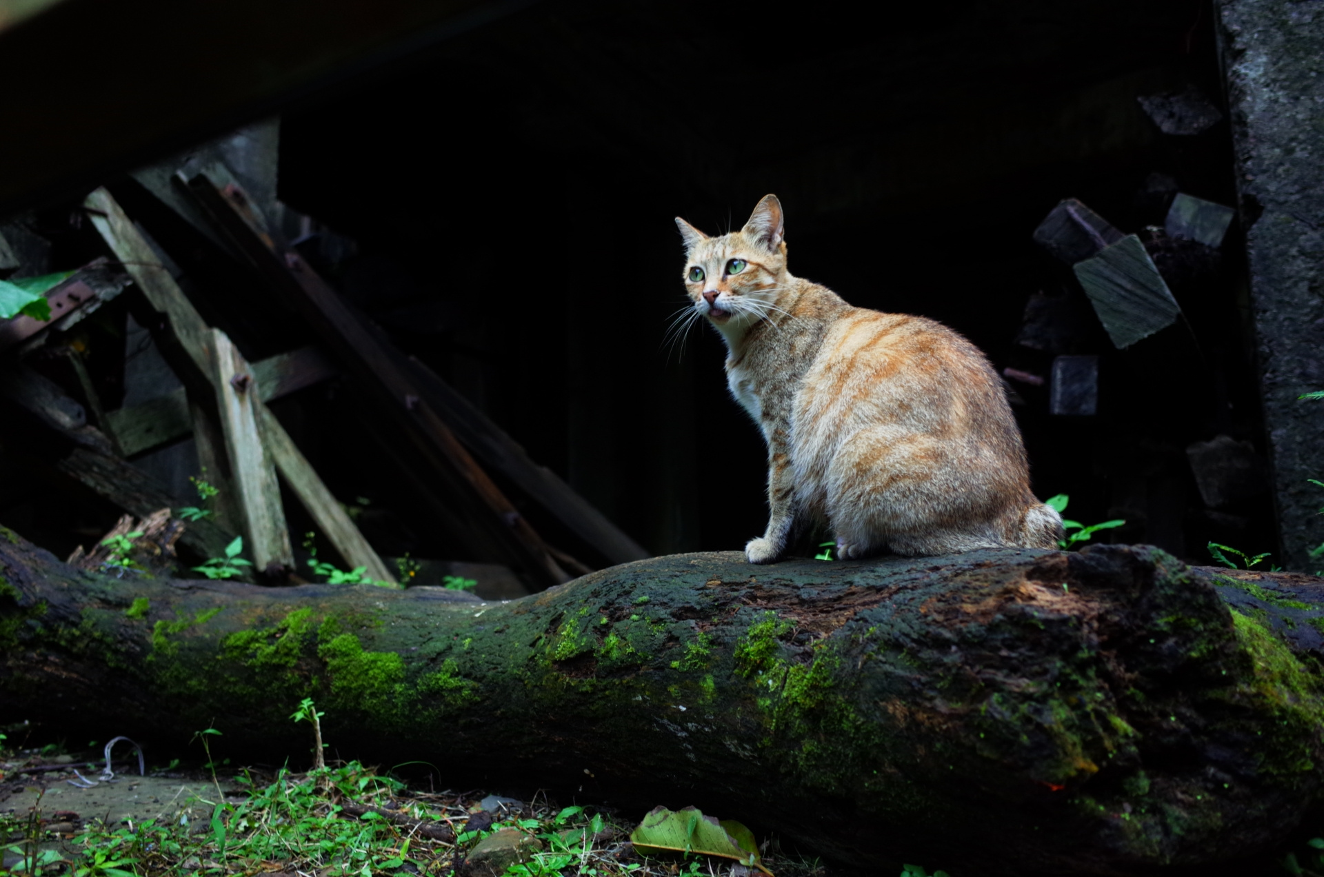 Vol.123  角地の意外なデメリット？ある？の画像