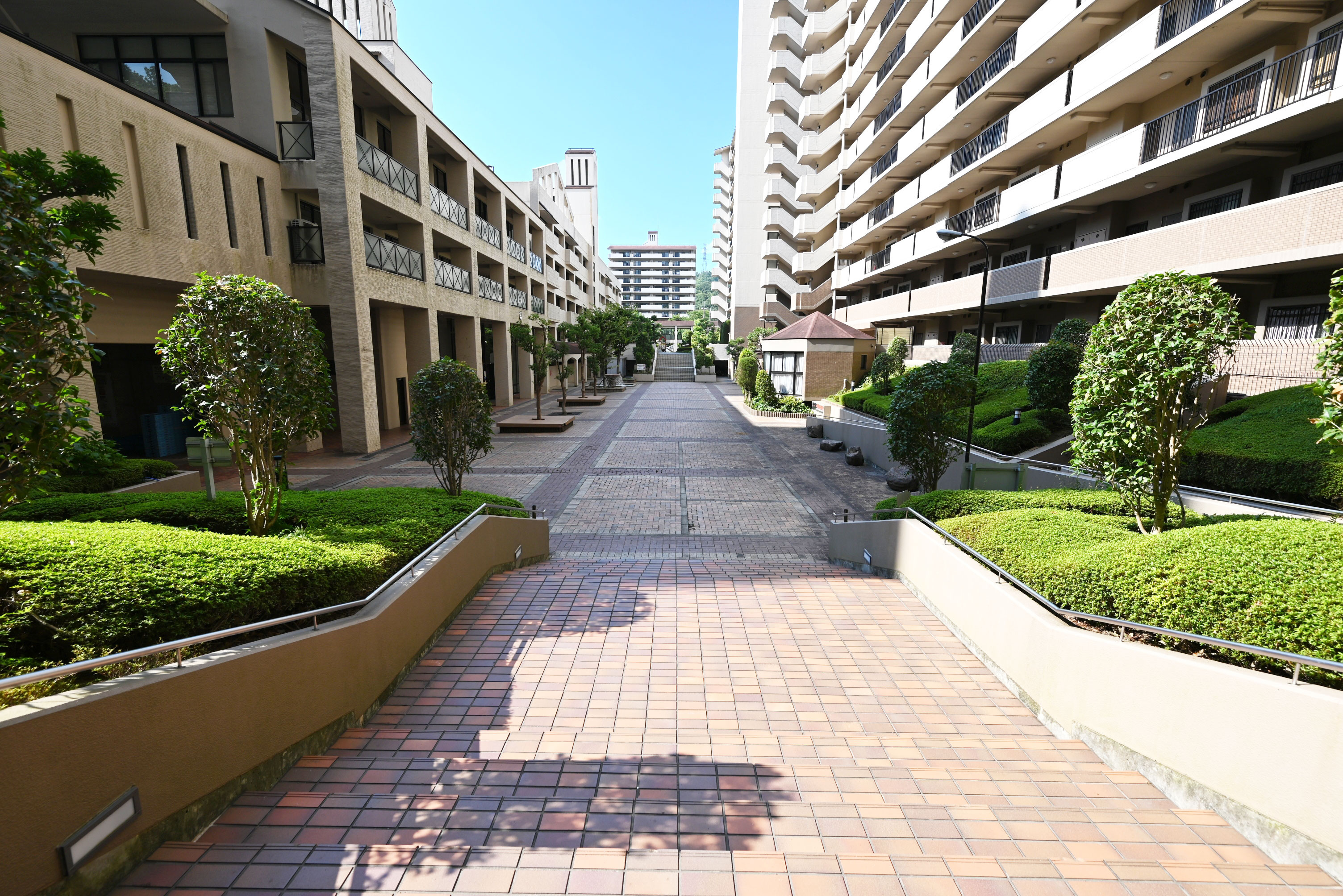 セルヴィオ3番館│リフォーム済