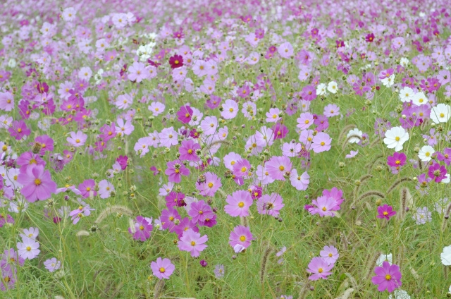弊社仕入れ物件の画像