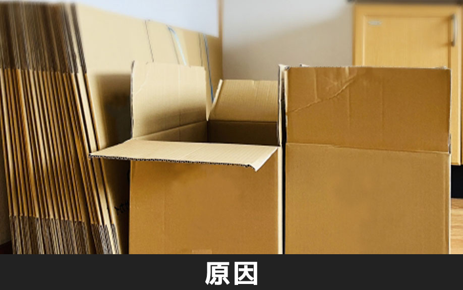 賃貸物件で害虫が発生する原因