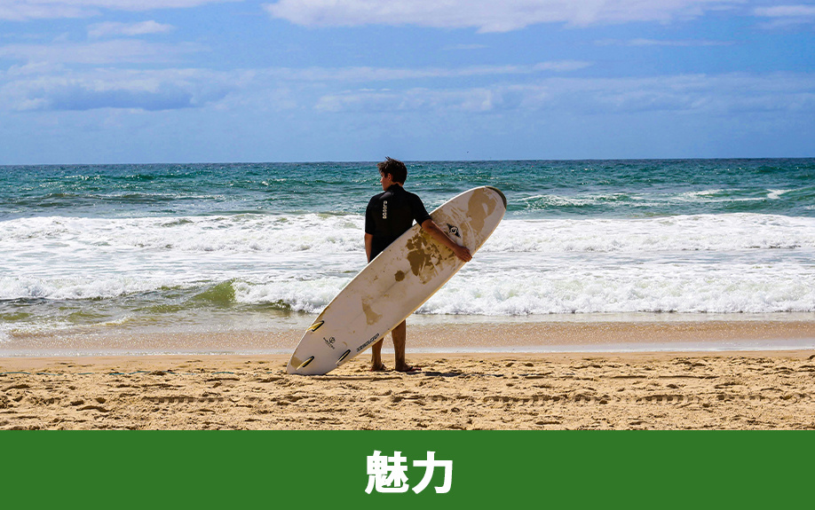 海沿いの家を購入したくなる魅力