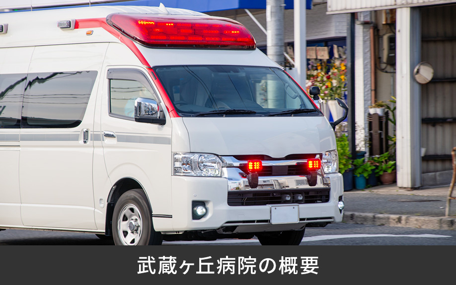 武蔵ヶ丘病院の概要