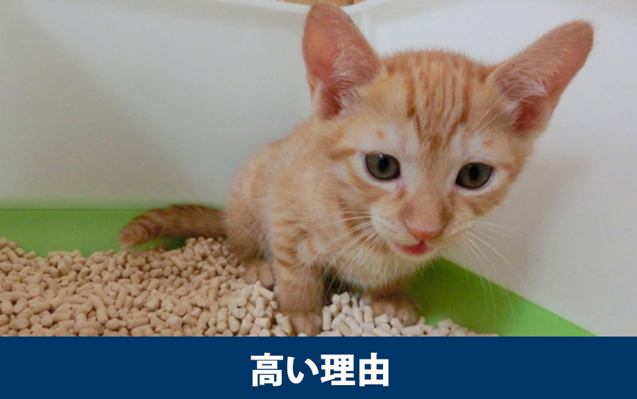 ペット可の賃貸物件の退去費用が高い理由