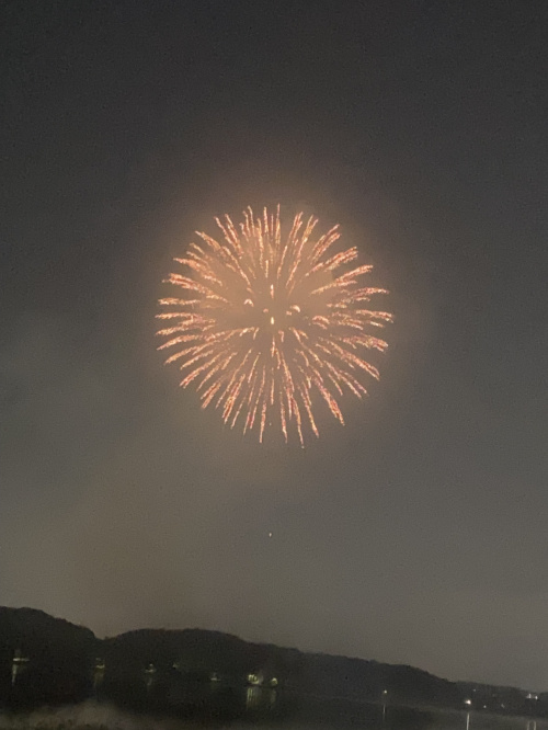 佐鳴湖花火大会と祭りの後の画像