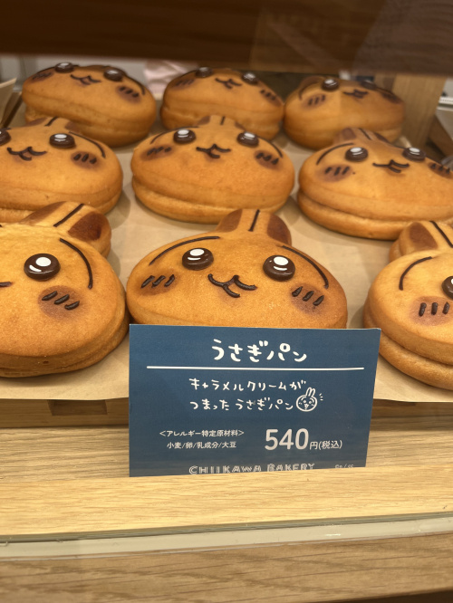 熊本市南区の家族でお出かけしたい方必見！子供と楽しめるスポットを紹介の画像