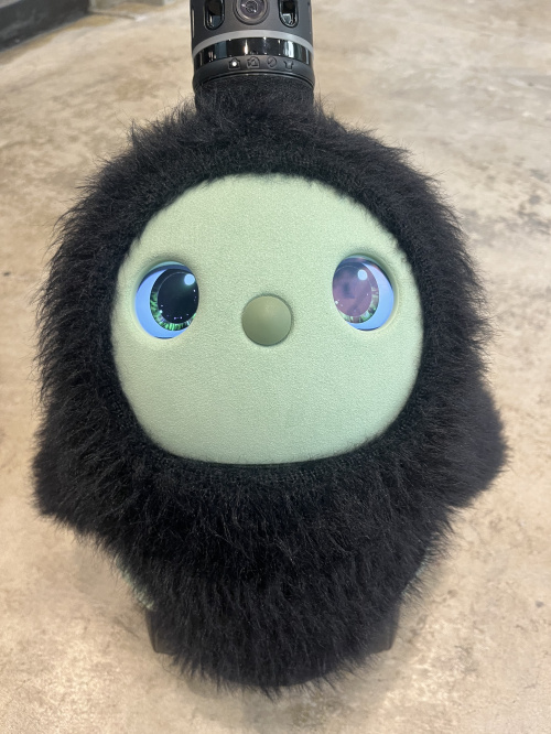 熊本市南区で住みやすいエリアはどこ？おすすめの地域や特徴を解説の画像