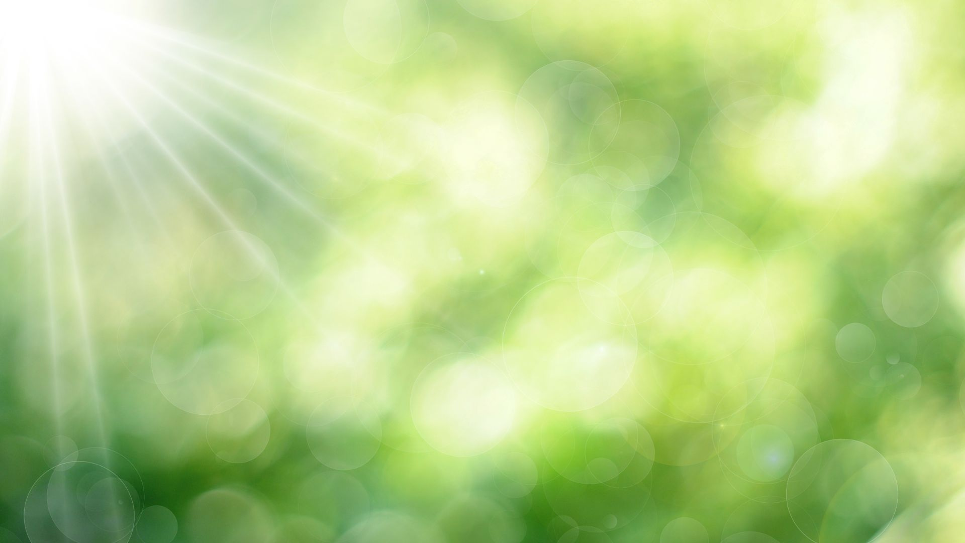 夏季休業のお知らせの画像