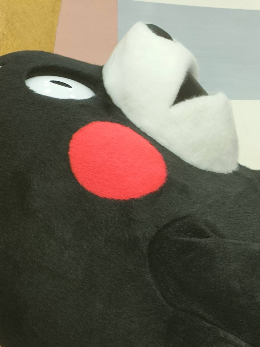 熊本市南区の川沿いで不動産購入は安全？水害リスクと対策も紹介の画像