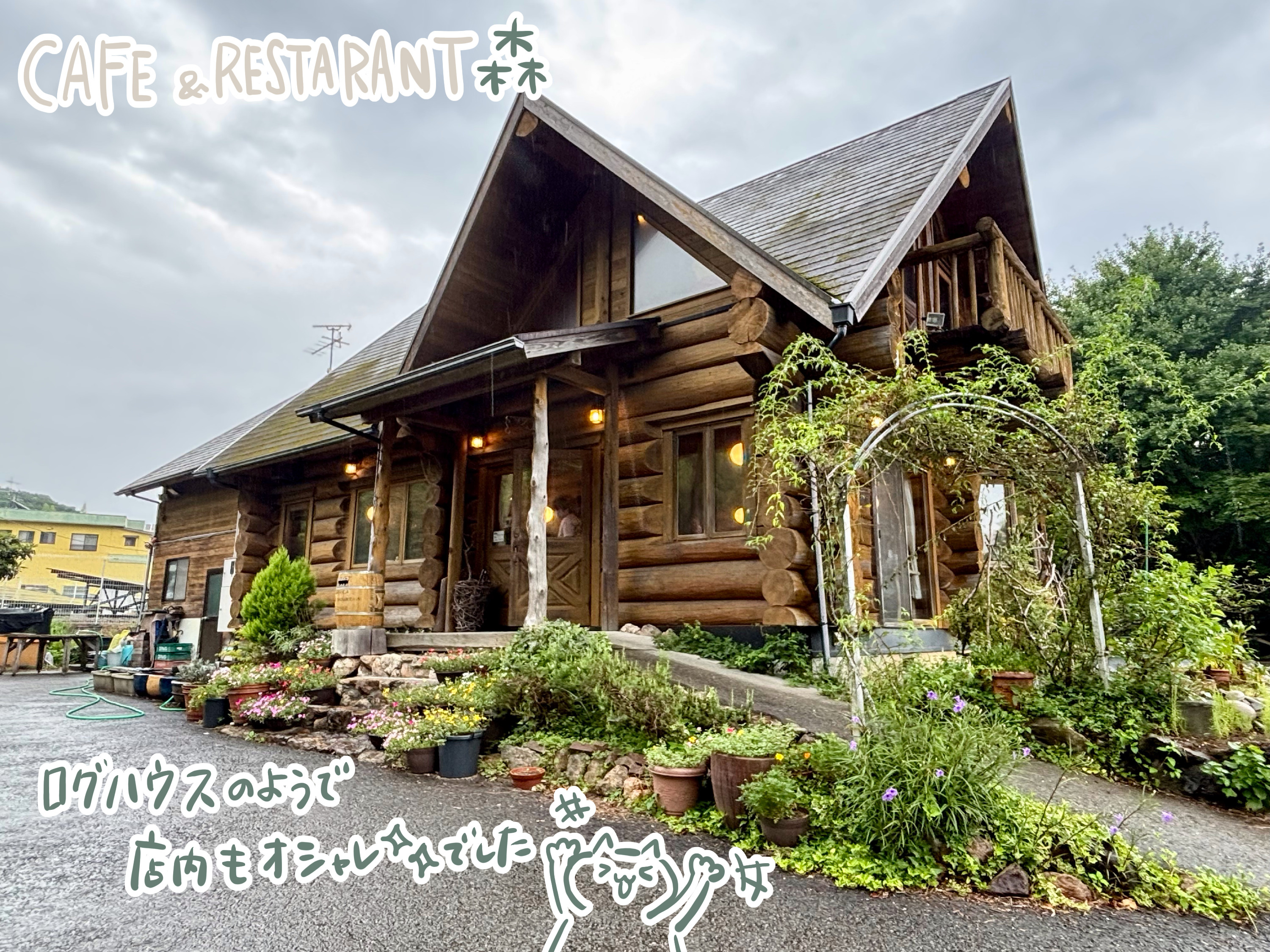 高知のモーニング文化に感謝の画像