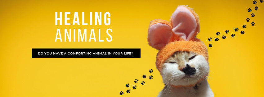 癒しの動物カフェ♪の画像