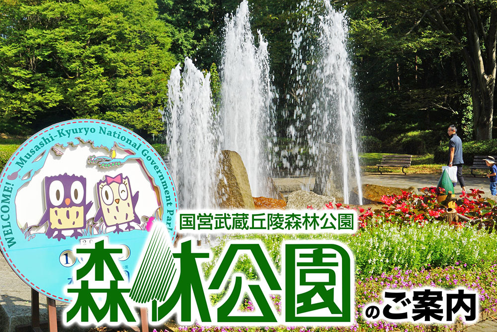 夏休み！子供水遊び場、アスレチック、サイクリング、ペット同伴でも安心！国営武蔵丘森林公園をご紹介！の画像